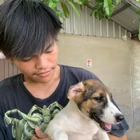 เสียงต้นฉบับ - ขิงคํา🤍