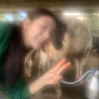 plai_li16