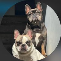louie.frankie