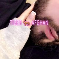 tiger_afghan