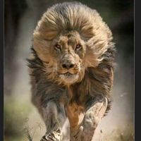 zezo_masr45
