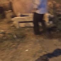 aof_20_07
