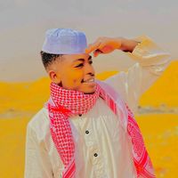 الصوت الأصلي