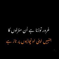 syedaliwaris03