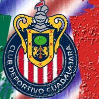 betotovar005gmail.com