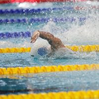 swimmersela