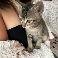 anjeena_mgr