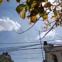 not_available548