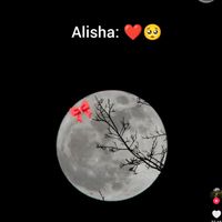 itsthesamealisha62