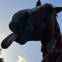 millie2offical.account