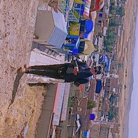 denis.bbsito