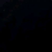 xopor1