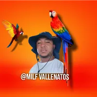 original sound - milf.vallenatos
