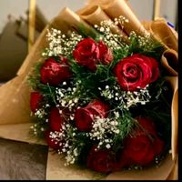 oznur_55_dznli