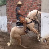 denysilva5207