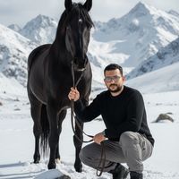 الصوت الأصلي