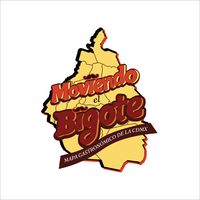 moviendoelbigote_cdmx