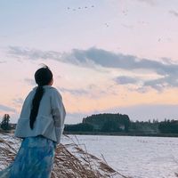 オリジナル楽曲 - こぉー🐨🌱
