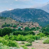 tarimangal