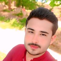 Waqar Ali zp