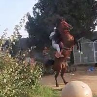 الصوت الأصلي