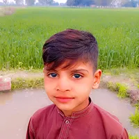 original sound - rana.irfan8327