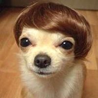 original sound - ប្រភពមេរោគខ្ទើយ