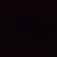 carlos_rtl777
