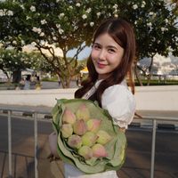 nampuengvhan