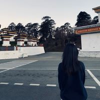 43v_y
