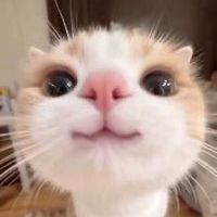 quynh_03y