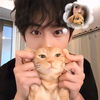 suara asli - veyy