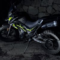 jawad_fakih24