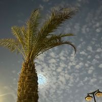 صوتي صوتي