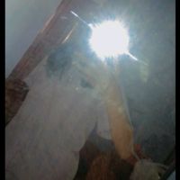 original sound - 😺ເຂົ້າຈ້າວคาวจ้าว💖