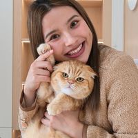 เสียงต้นฉบับ - Henry Done It