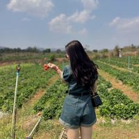 bunny3012002