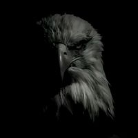 end_of_eagle