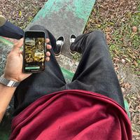 bunyi asal - mr bott