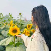 anilatabassumnisha10
