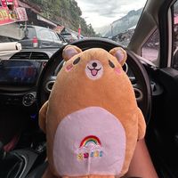 suara asli - ik.wi__