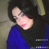 semo1.3