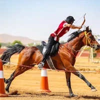 original sound - mlook131