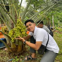 suara asli - Kebuntabulampot