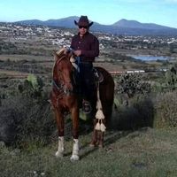 fer.perez.mejia
