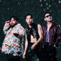 polycat_band