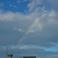 original sound - togeinumakissalmon