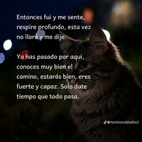 jimenezmiranda7