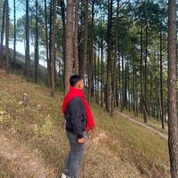 asbinlama77