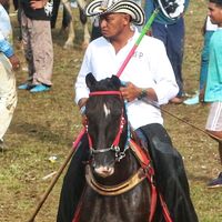 manuelgarrido648